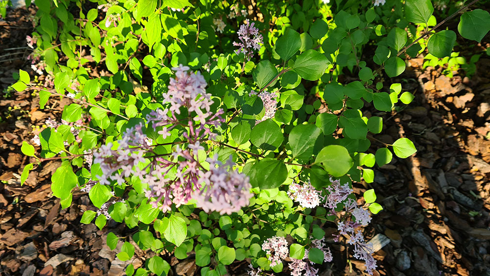 2021-06-10 20.05.42.jpg